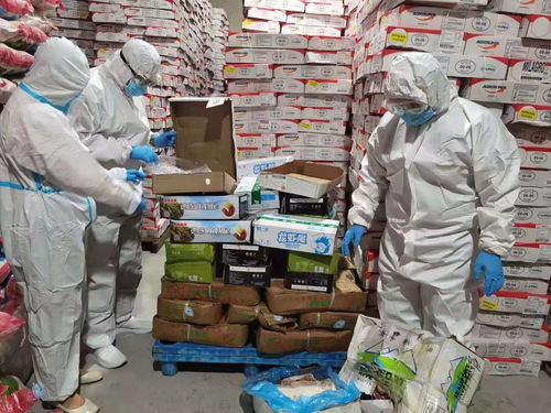 烏蘭察布市場監管局強化進口冷鏈食品與奶制品監管，突擊檢查批發及進出口環節